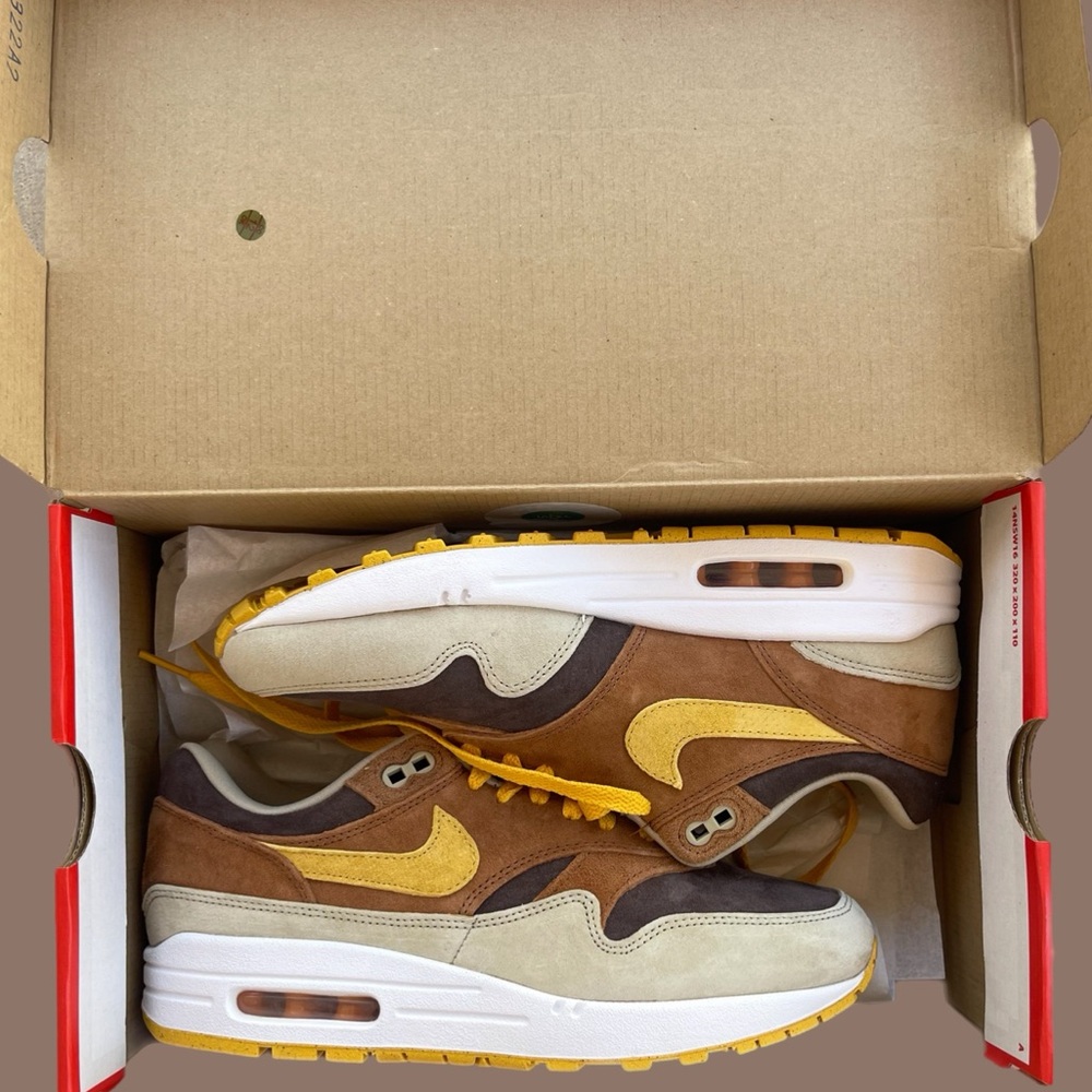 Nike Air Max 1 “Ugly Duckling”
